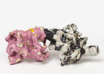 “Estinzione” in mostra a Pescara dal 16 settembre